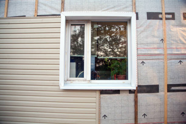 Best Construction Debris Removal  in Palmview South, TX